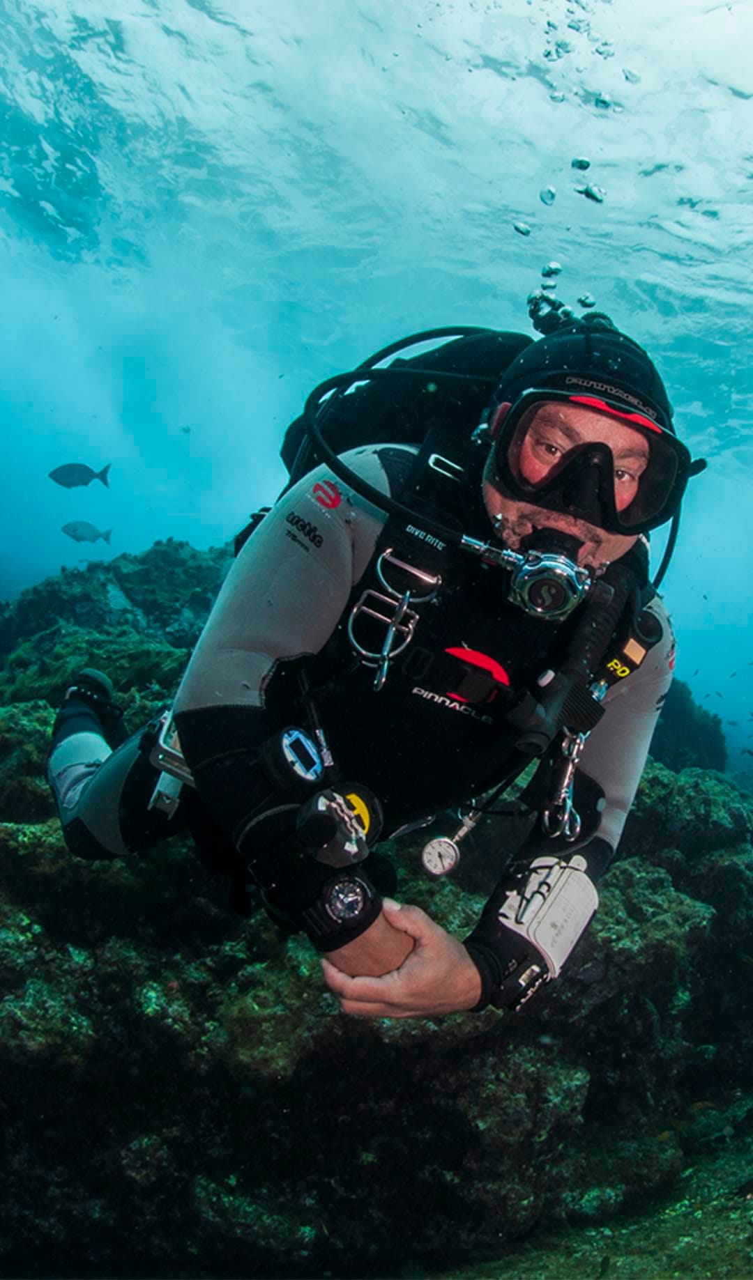 Learn to Dive with PADI 4